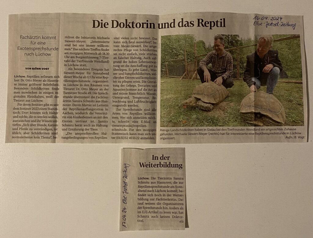 Reptilien-Sprechstunde in Lüchow | Elbe-Jetzeel-Zeitung | Mobile Tierarztpraxis für Reptilien Samira Schmitz | Hannover |